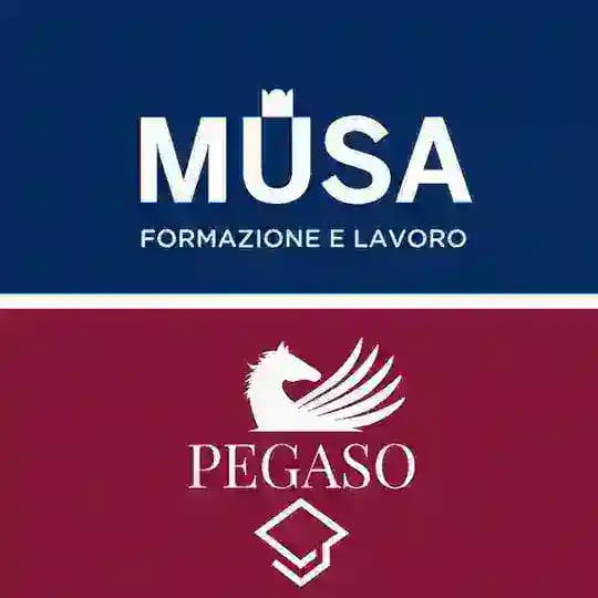 Polo Didattico Università Pegaso – Musa Formazione Profile