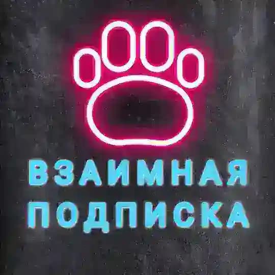 Взаимная подписка | Взаимный пиар Profile
