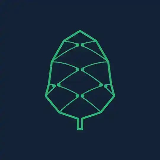Pine.loans is on Discord! Profile