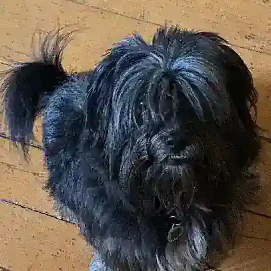 ПОТЕРЯШКИ СЕВЕРНЫЙ СВАО Profile