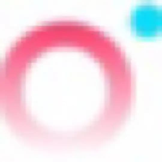 PolkaFoundry Profile