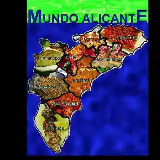 ¡Provincia de Alicante! Profile