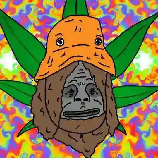 TrippyTravelers Profile