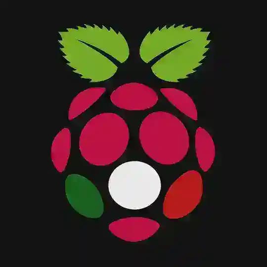 Raspberry Pi Italia Profile