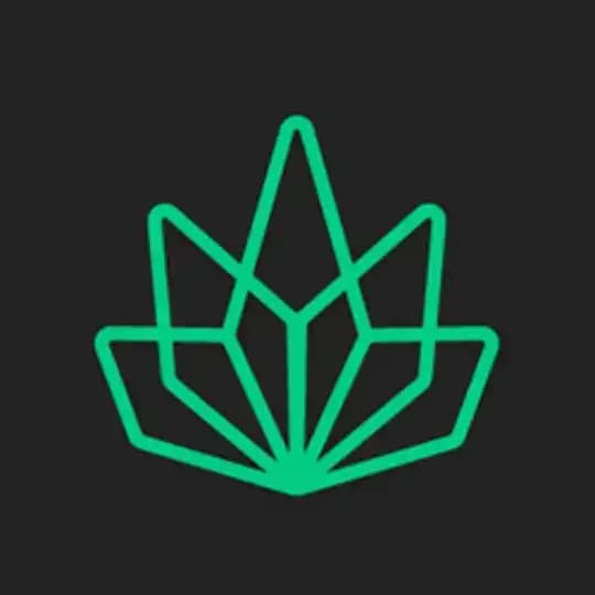 RastaSwap Chat - Chinese Profile