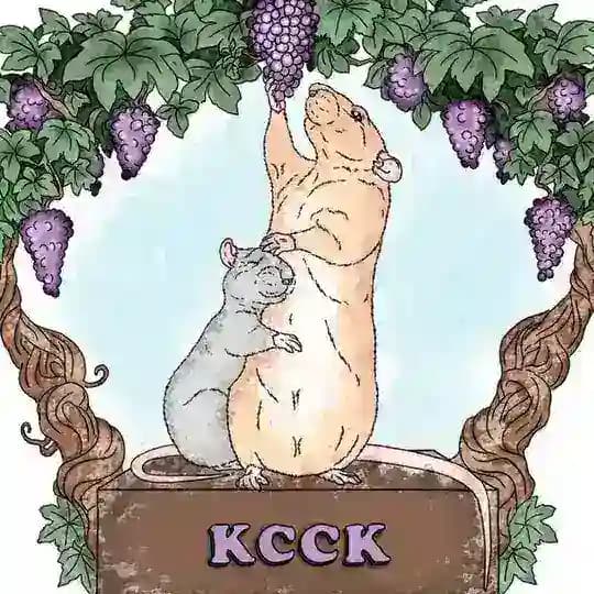 КССК | "Крысиное Счастье" Сообщество Краснодара Profile