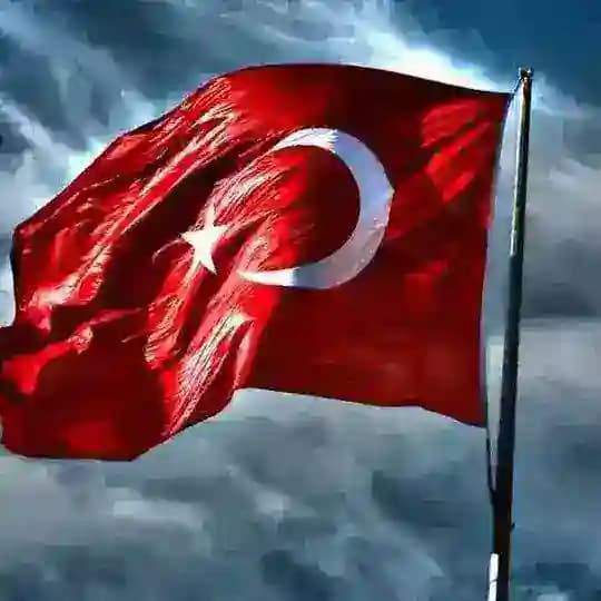 Beyaz Masa MAT/GEO Profile