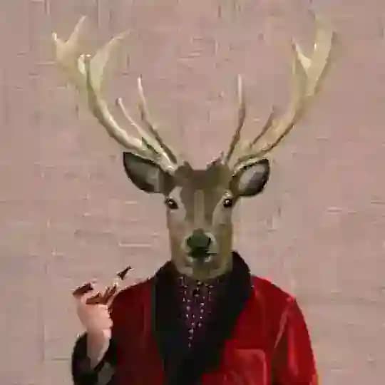 Serbest Geyik Sohbeti Profile