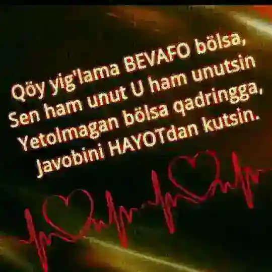 SEVGISI ARZONIM Profile