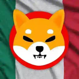 Shiba Inu México🇲🇽 Profile