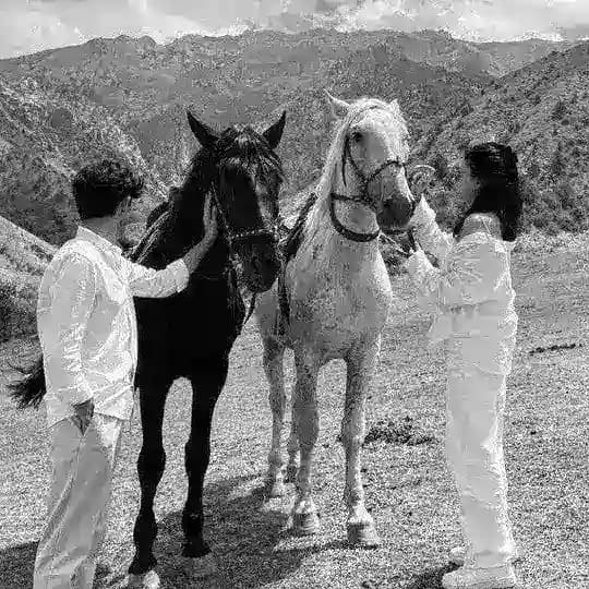 ♡ 𝐃𝐎'𝐒𝐓𝐋𝐀𝐑 ♡ Profile