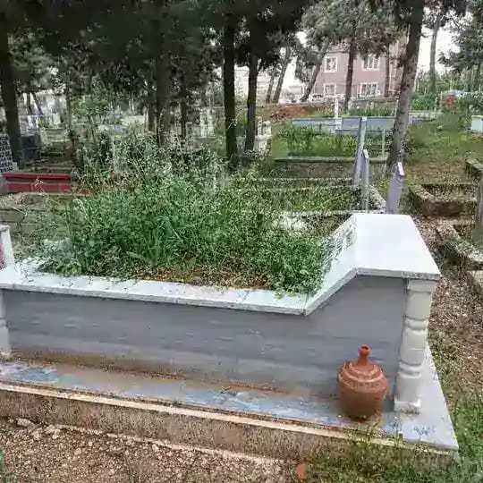 Denizli Gay Travesti Haber Profile