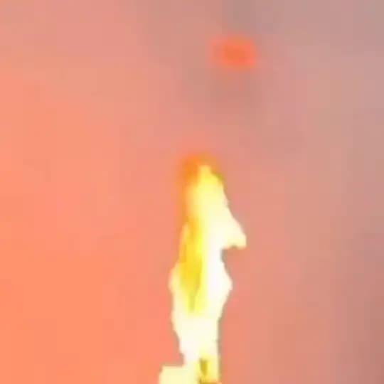 Siri Support Profile