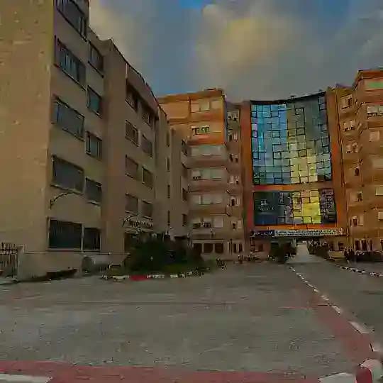 SNV 1er année Profile