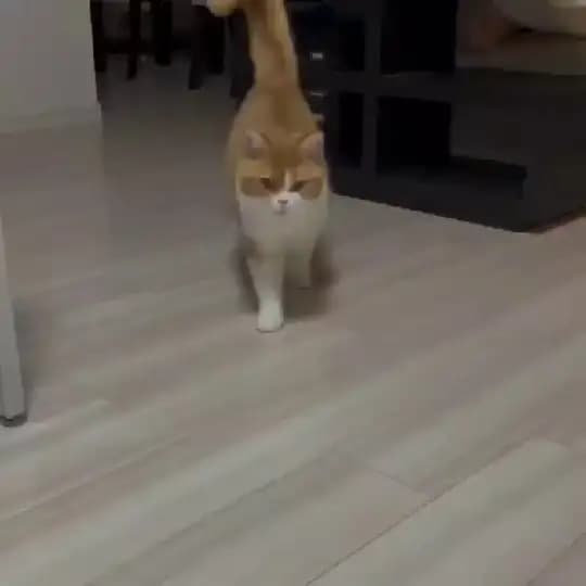 ❤❤ SOHBET VE ARKADAŞLIK GRUBU ❤❤ Profile