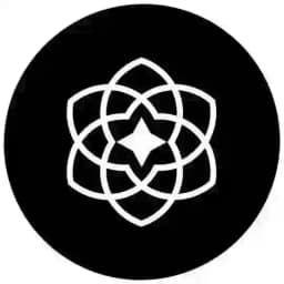 Synesis 한국 커뮤니티 Profile