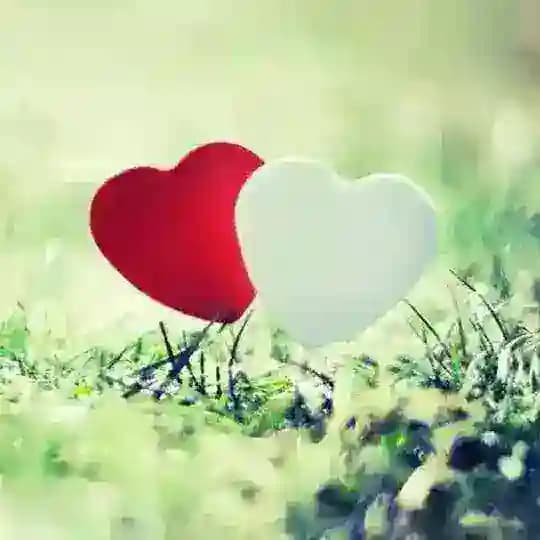 Friends talking group Profile