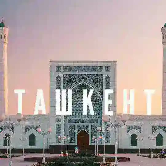 Ташкент Чат Profile