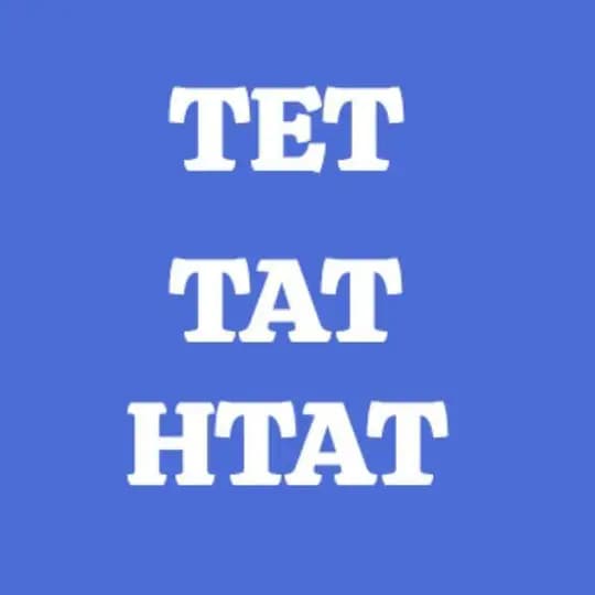 𝐓𝐄𝐓 𝐓𝐀𝐓 તૈયારી 𝐏𝐃𝐅 મટીરિયલ Profile