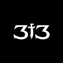 313™ Profile