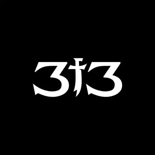 313™ Profile
