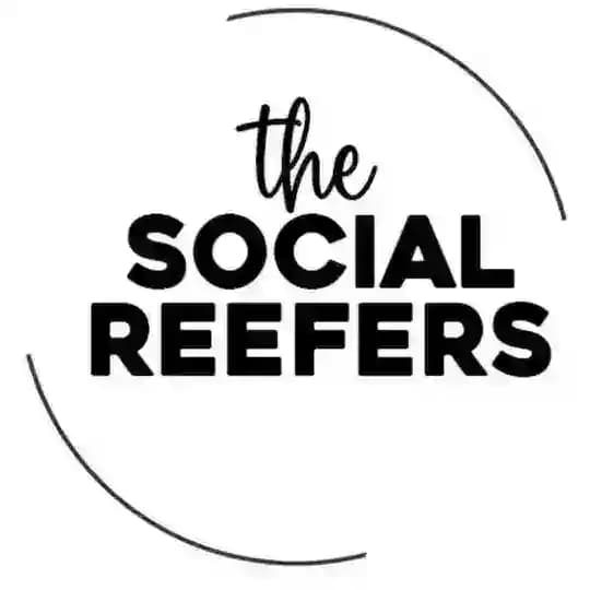 ᴛʜᴇ ꜱᴏᴄɪᴀʟ ʀᴇᴇꜰᴇʀꜱ Profile