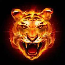 天道交流会 Profile