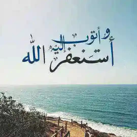 Ибн Сино табобати Profile