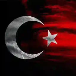 𝐒𝐀𝐍𝐀𝐋 𝐏𝐋𝐀𝐓𝐅𝐎𝐑𝐌 Profile