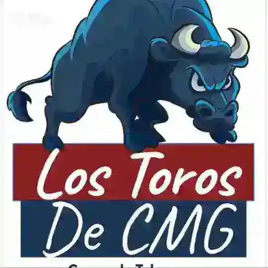 🔥Los Toros de CMG🔥 Profile