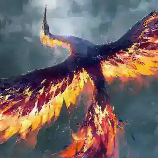 MamashillerLocal Profile