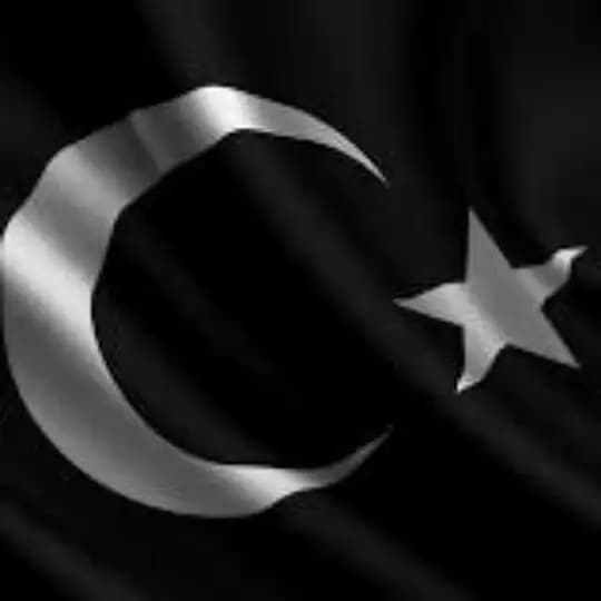 TÜRKİYEBİRLİK🇹🇷#KURTDİRENİŞ Profile