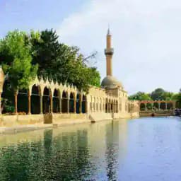 Şanlıurfa Fen Bilimleri Atama Profile