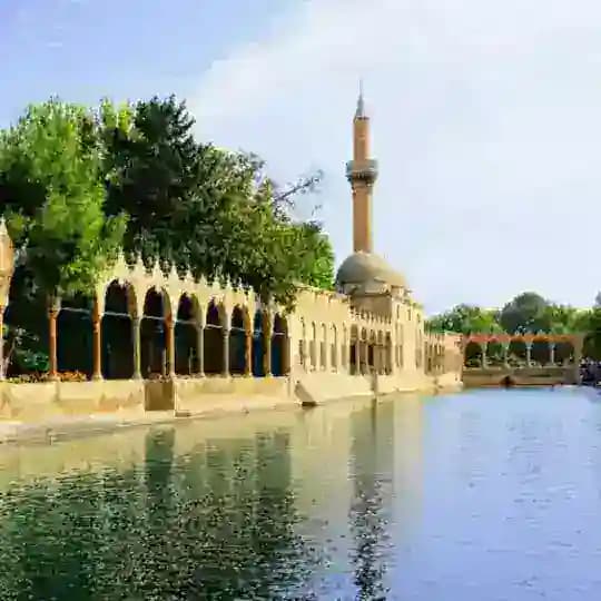 Şanlıurfa Fen Bilimleri Atama Profile