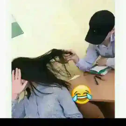 ㅤㅤㅤㅤʟᴀᴄᴏsᴛᴇ 🐊 Profile