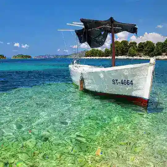 Uz_ bek_guruh Profile