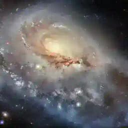 VERIFIED CONTEST Proof Profile