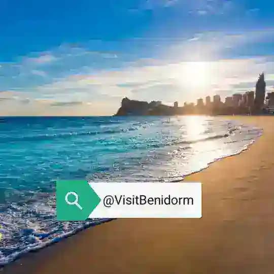 Benidorm Profile
