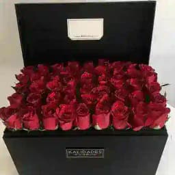 زنگ تفریح Profile