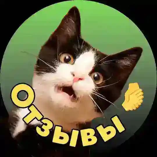 Обмен отзывами | взаимные отзывы Profile