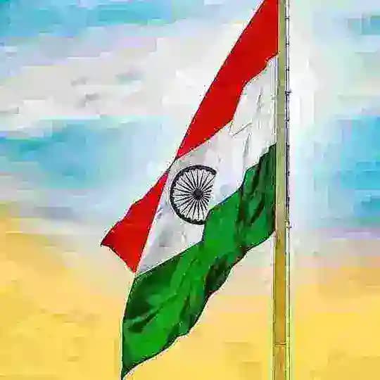 Wandering Minds Profile