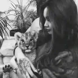 𝐖 𝐈 𝐄 𝐒 𝐒 𝐀 Profile