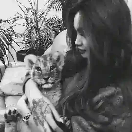 𝐖 𝐈 𝐄 𝐒 𝐒 𝐀 Profile