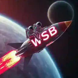 WallstreetbetsGems_Lounge disscusion_Capital Profile