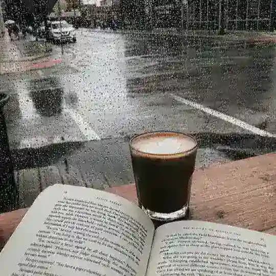 ВСЕМИРНЫЙ ЧАТ ДЛЯ ОБЩЕНИЯ Profile