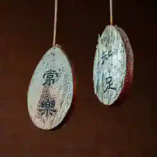 小玩社区 Profile