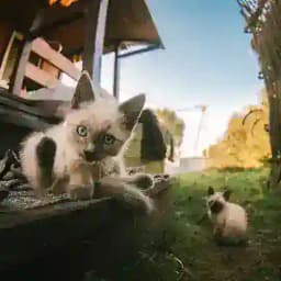 китики с завода Profile