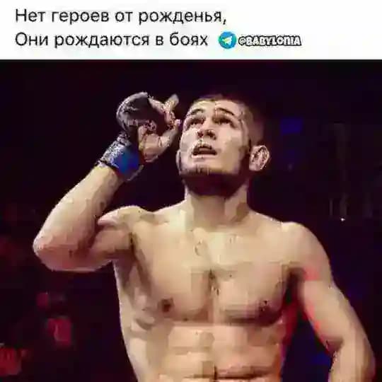 Z A L A T O' Y Profile