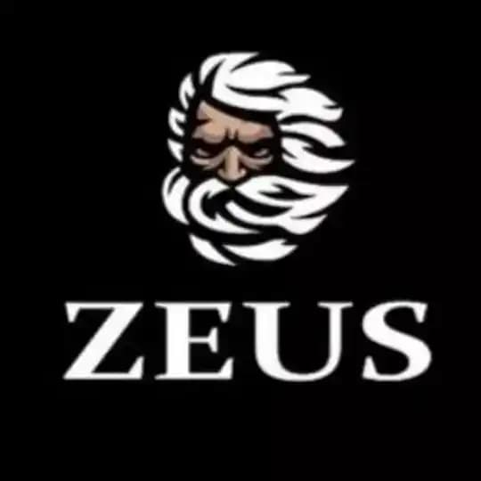 宙斯（ZEUS）基金会 Profile