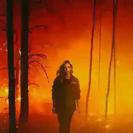 Free films & TV series & trailes Profile